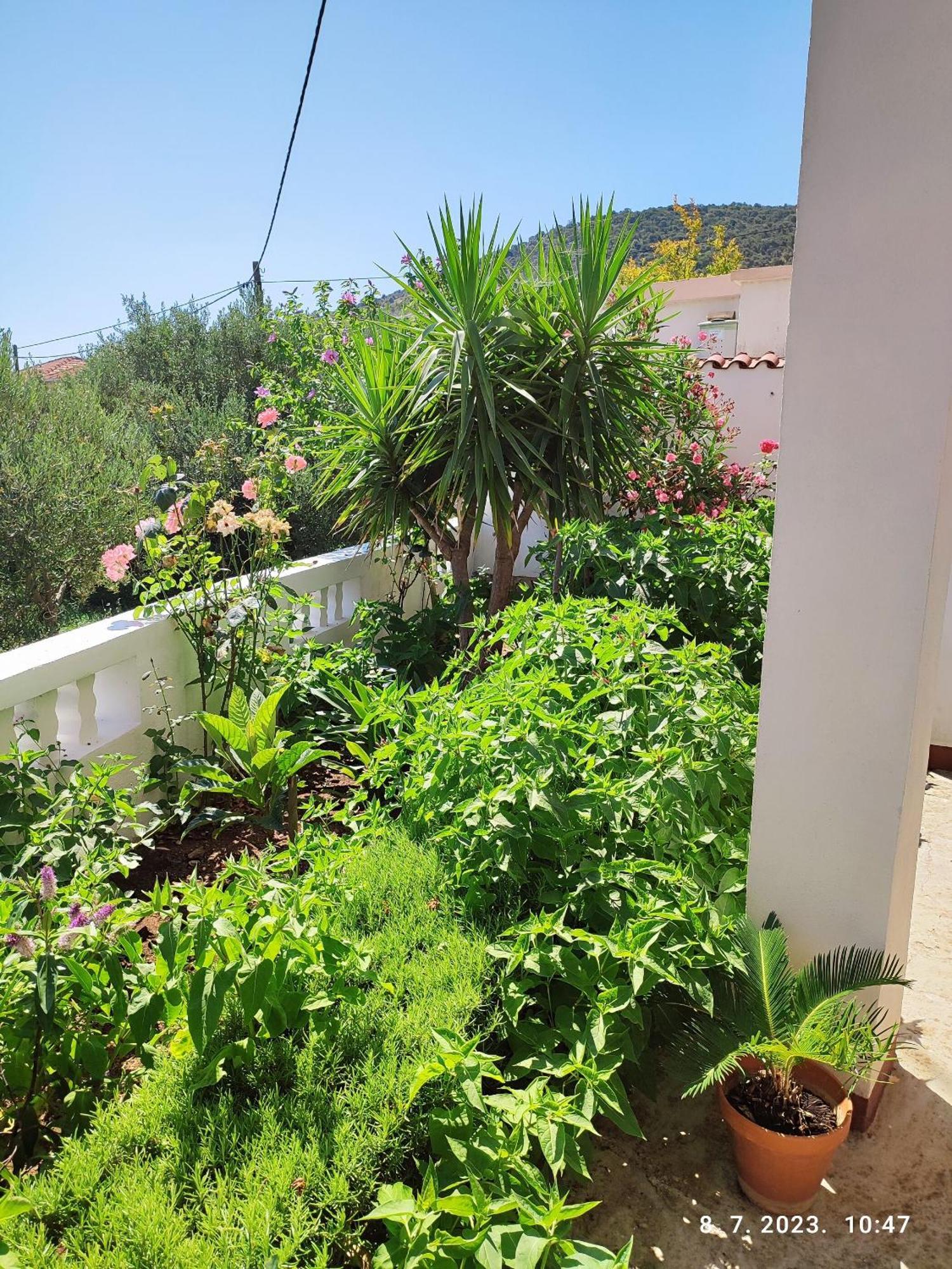 Apartment Slaven Vinišće Exteriör bild
